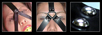 �z�̕���