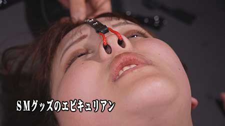鼻の穴の中が丸見え